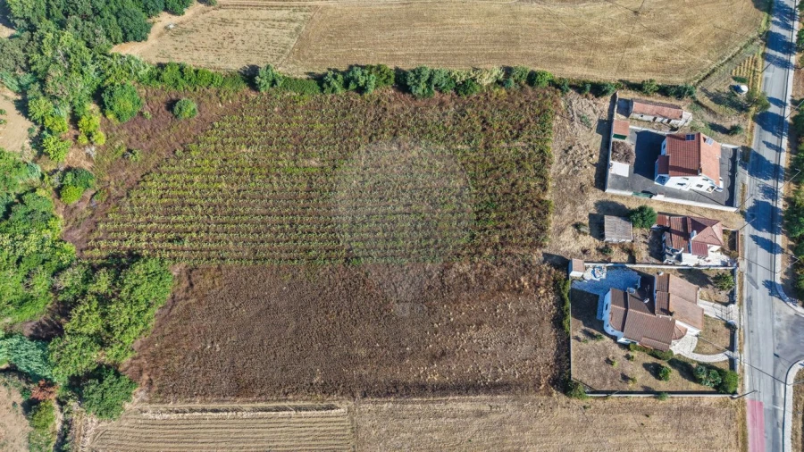 Moradia T3 para Venda em Arruda dos Vinhos Foto 31