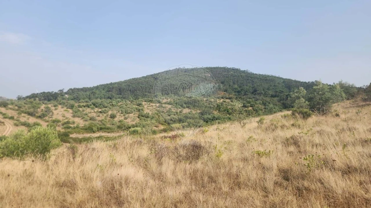 Terreno para Venda em Venda do Pinheiro e Santo Estêvão das Galés Foto 11