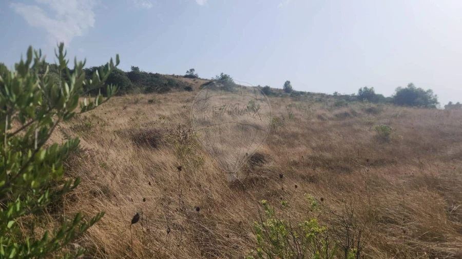 Terreno para Venda em Venda do Pinheiro e Santo Estêvão das Galés Foto 8