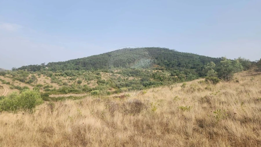 Terreno para Venda em Venda do Pinheiro e Santo Estêvão das Galés Foto 11