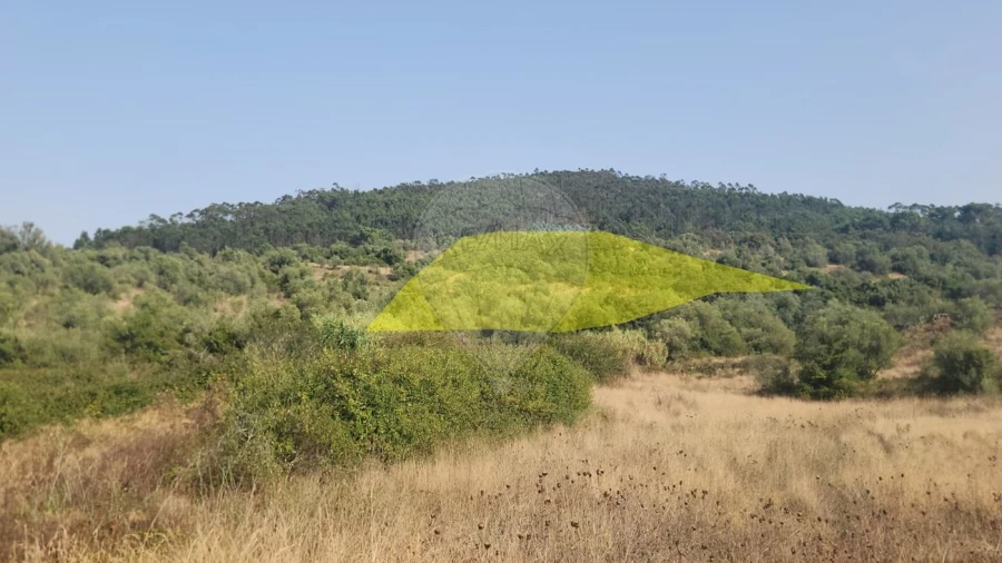 Terreno para Venda em Venda do Pinheiro e Santo Estêvão das Galés Foto 2