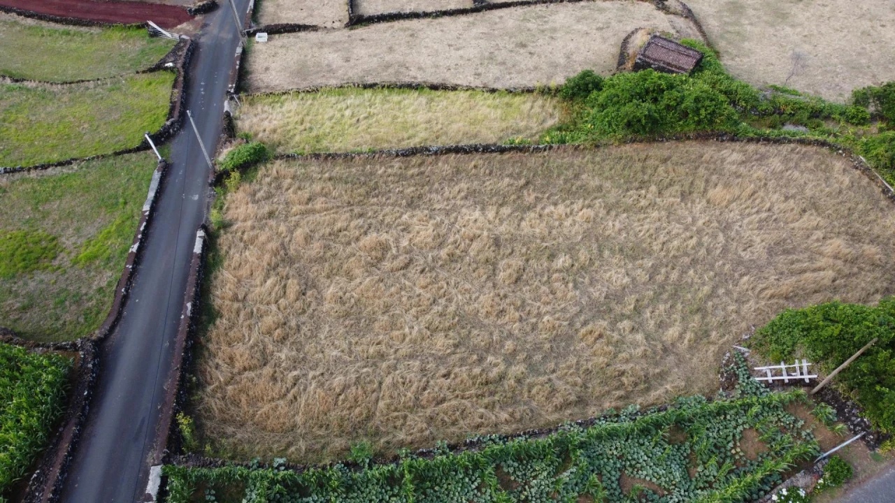 Terreno para Venda em Santo Amaro Foto 10