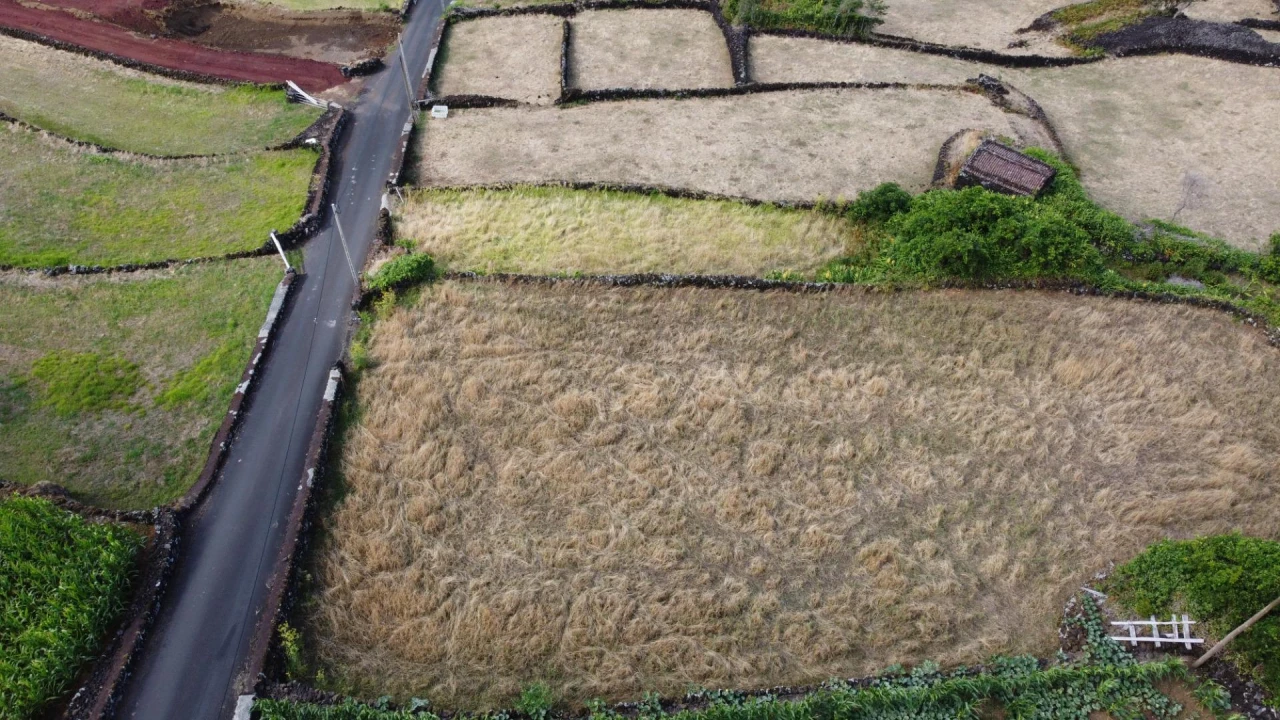 Terreno para Venda em Santo Amaro Foto 15