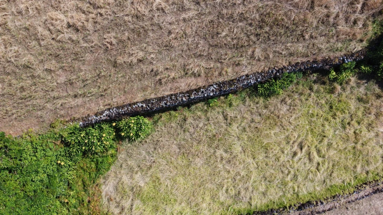 Terreno para Venda em Santo Amaro Foto 16