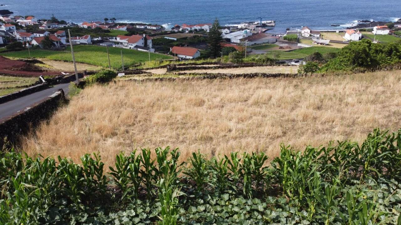 Terreno para Venda em Santo Amaro Foto 3