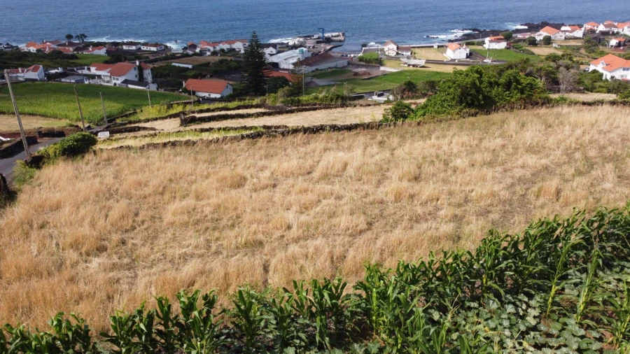 Terreno para Venda em Santo Amaro Foto 4