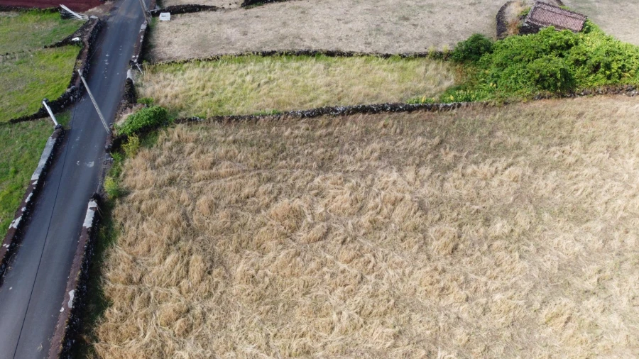 Terreno para Venda em Santo Amaro Foto 6