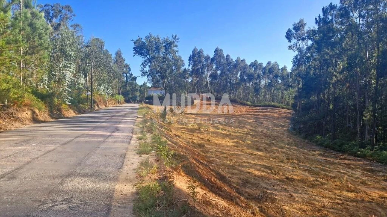 Terreno para Venda em São Martinho da Gandara Foto 5
