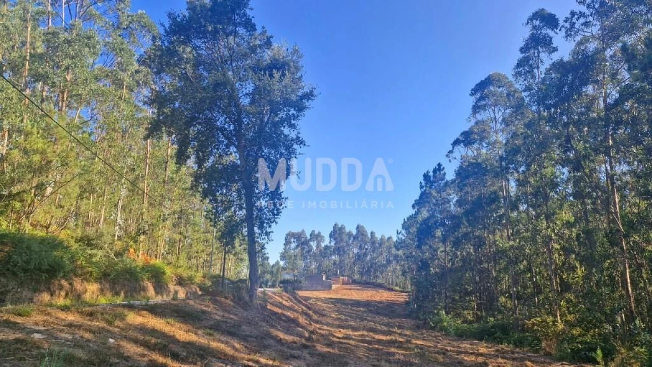 Terreno para Venda em São Martinho da Gandara Foto 1