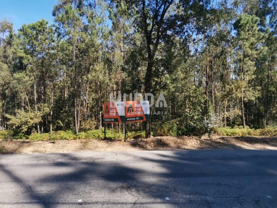 Terreno para Venda em São Martinho da Gandara Foto 11