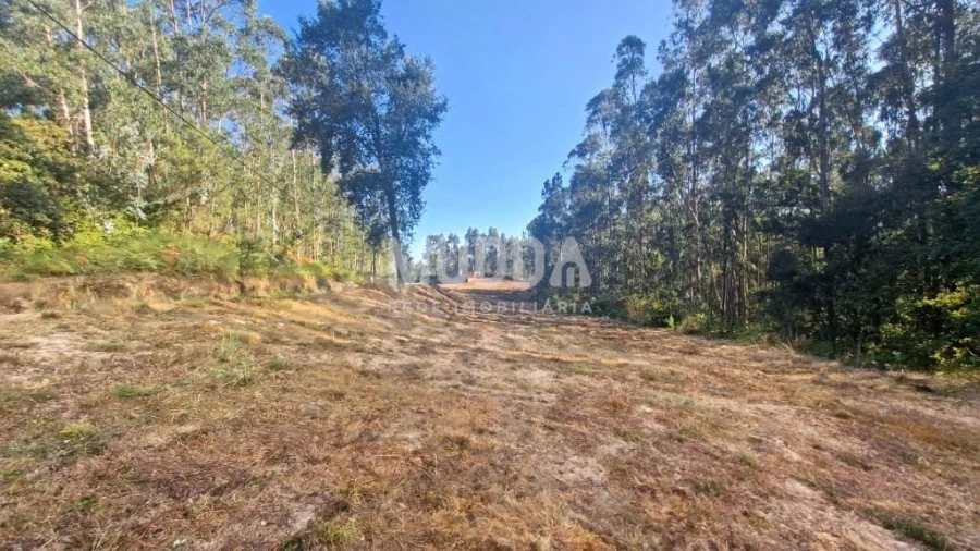 Terreno para Venda em São Martinho da Gandara Foto 3