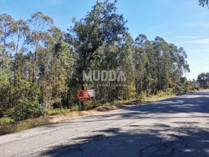 Terreno para Venda em São Martinho da Gandara Foto 9