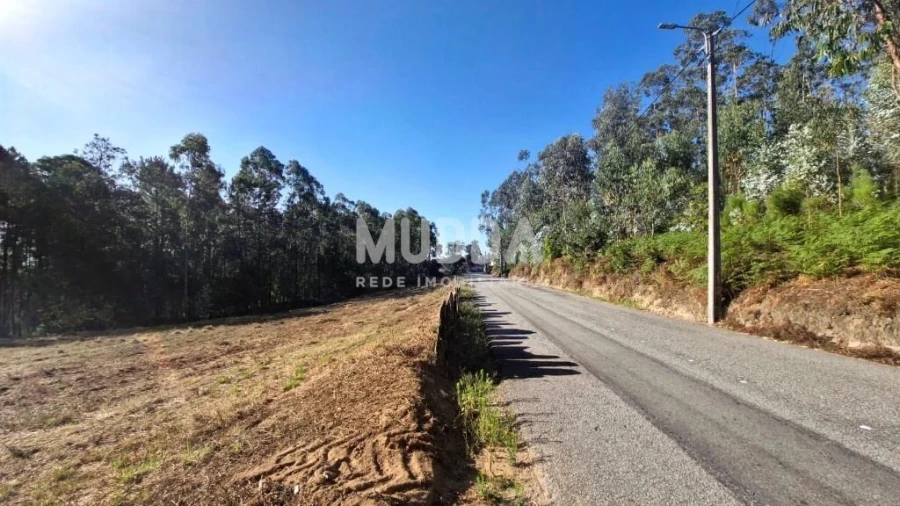 Terreno para Venda em São Martinho da Gandara Foto 7
