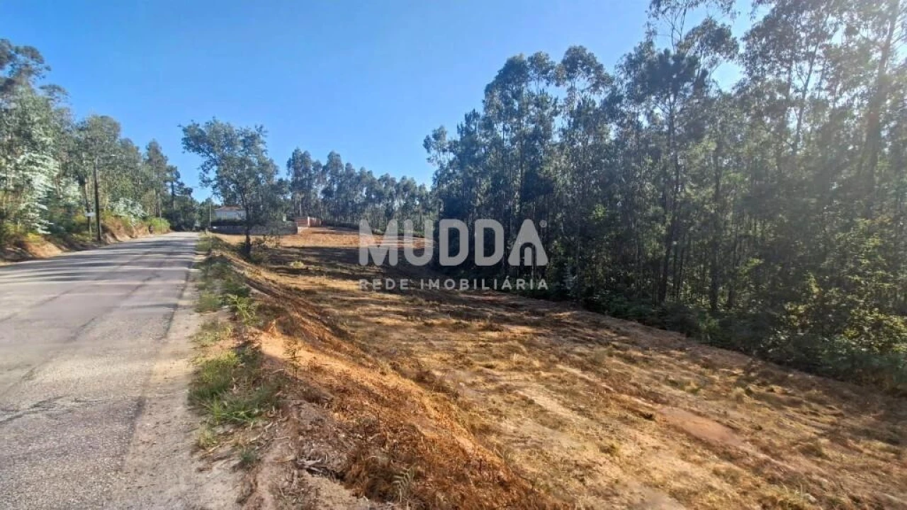 Terreno para Venda em São Martinho da Gandara Foto 4