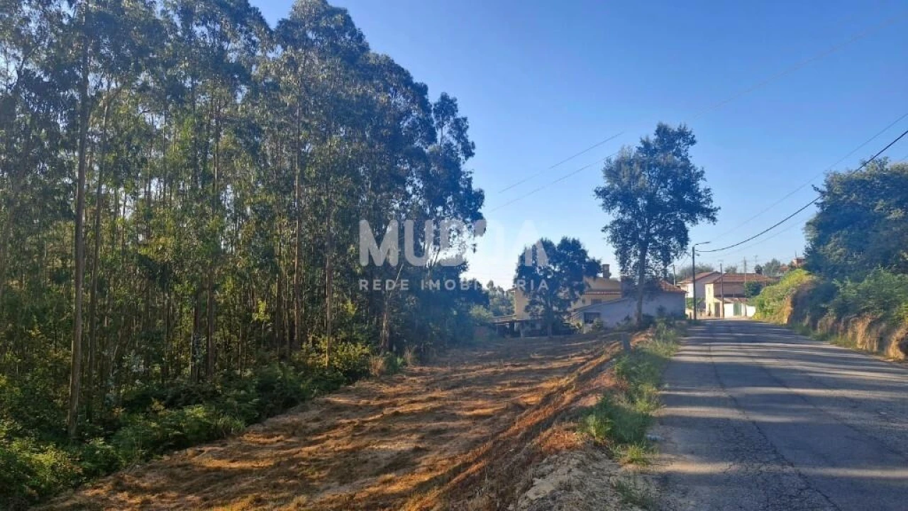 Terreno para Venda em São Martinho da Gandara Foto 8