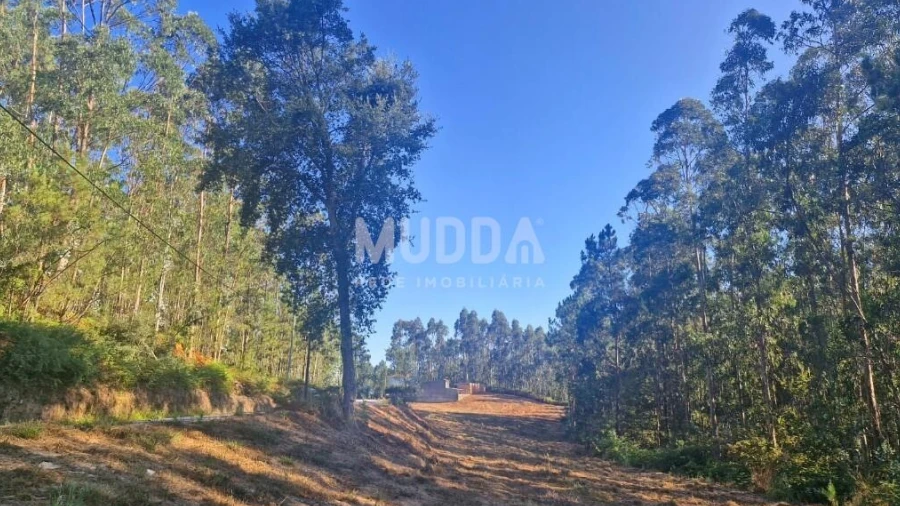 Terreno para Venda em São Martinho da Gandara
