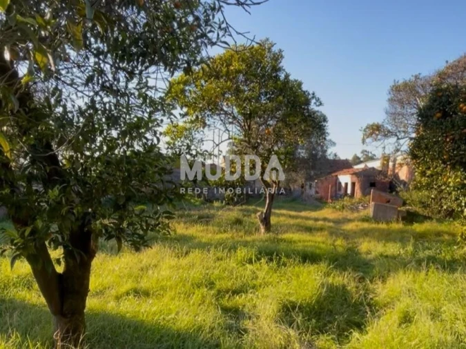 Moradia T3 para Venda em Mira Foto 14