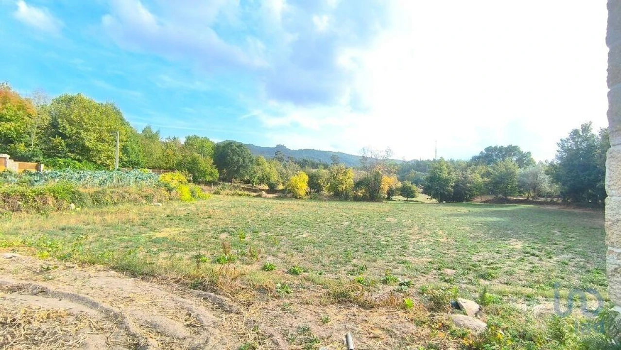 Terreno para Venda em Cambra e Carvalhal de Vermilhas Foto 6