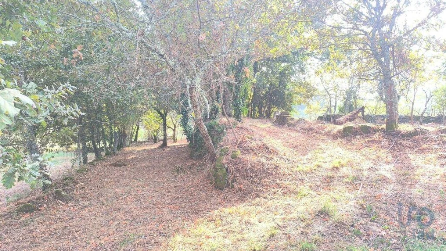 Terreno para Venda em Cambra e Carvalhal de Vermilhas Foto 10