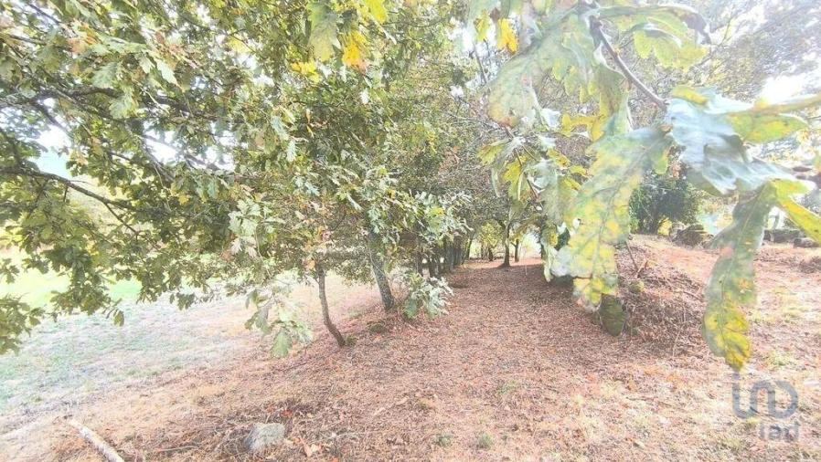 Terreno para Venda em Cambra e Carvalhal de Vermilhas Foto 12