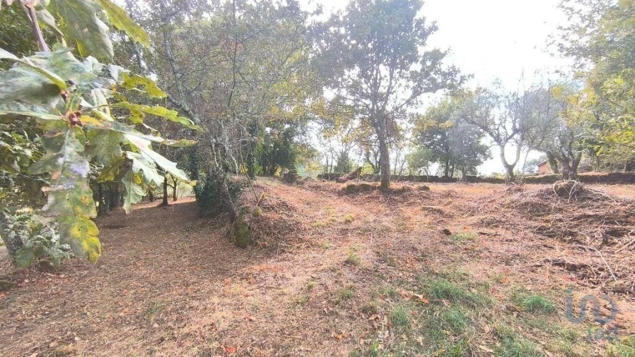 Terreno para Venda em Cambra e Carvalhal de Vermilhas Foto 11