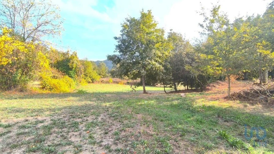 Terreno para Venda em Cambra e Carvalhal de Vermilhas Foto 7