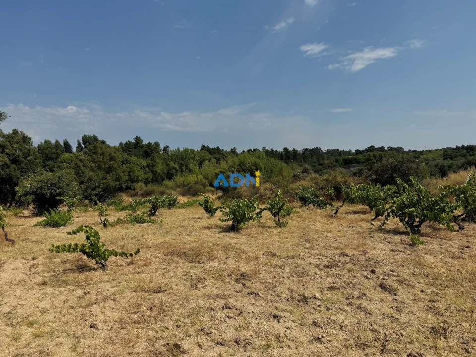 Terreno para Venda em Freixial e Juncal do Campo Foto 5