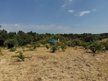 Terreno para Venda em Freixial e Juncal do Campo