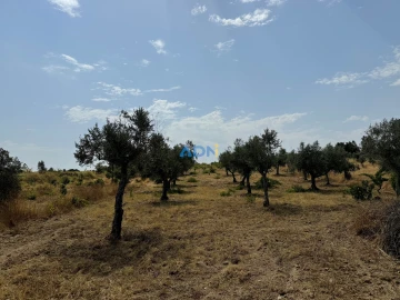 Terreno para Venda em Freixial e Juncal do Campo