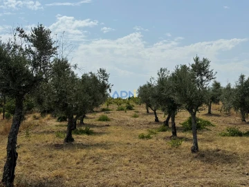 Terreno para Venda em Freixial e Juncal do Campo