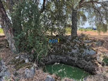 Terreno para Venda em Freixial e Juncal do Campo