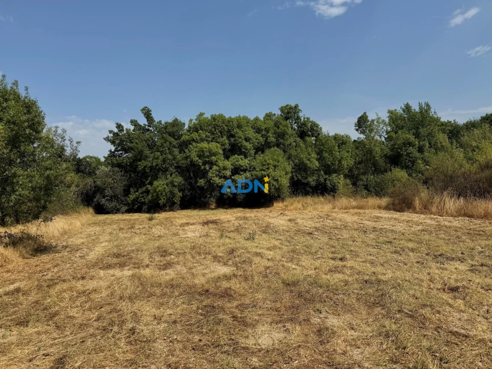 Terreno para Venda em Freixial e Juncal do Campo Foto 9