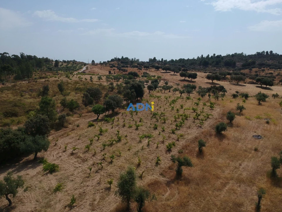 Terreno para Venda em Freixial e Juncal do Campo Foto 1