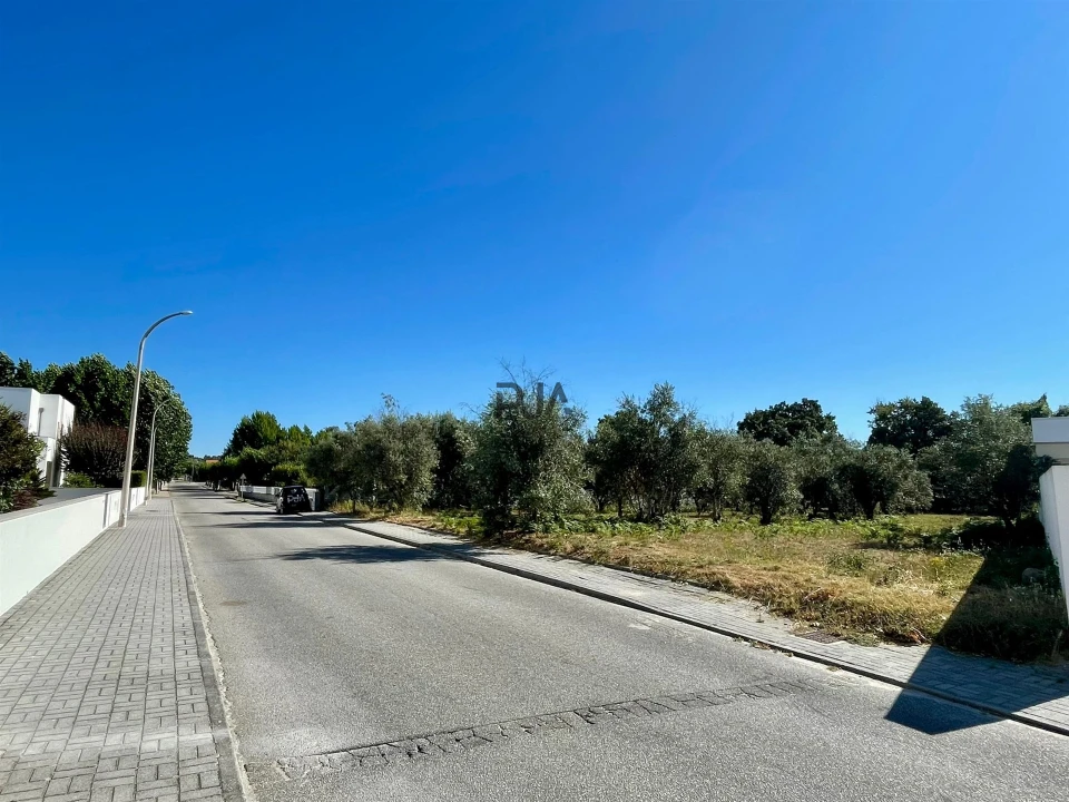 Terreno para Venda em Canas de Senhorim Foto 2