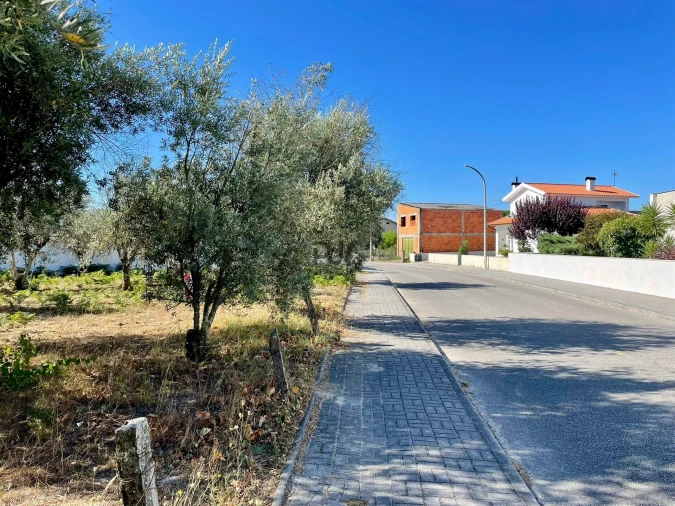 Terreno para Venda em Canas de Senhorim Foto 4