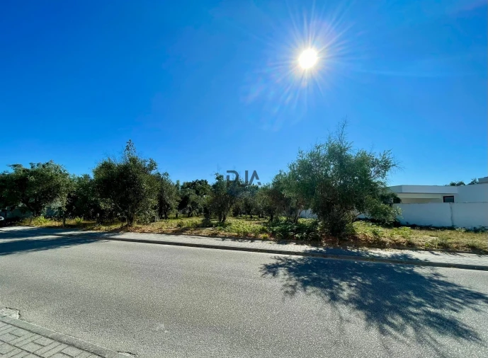 Terreno para Venda em Canas de Senhorim