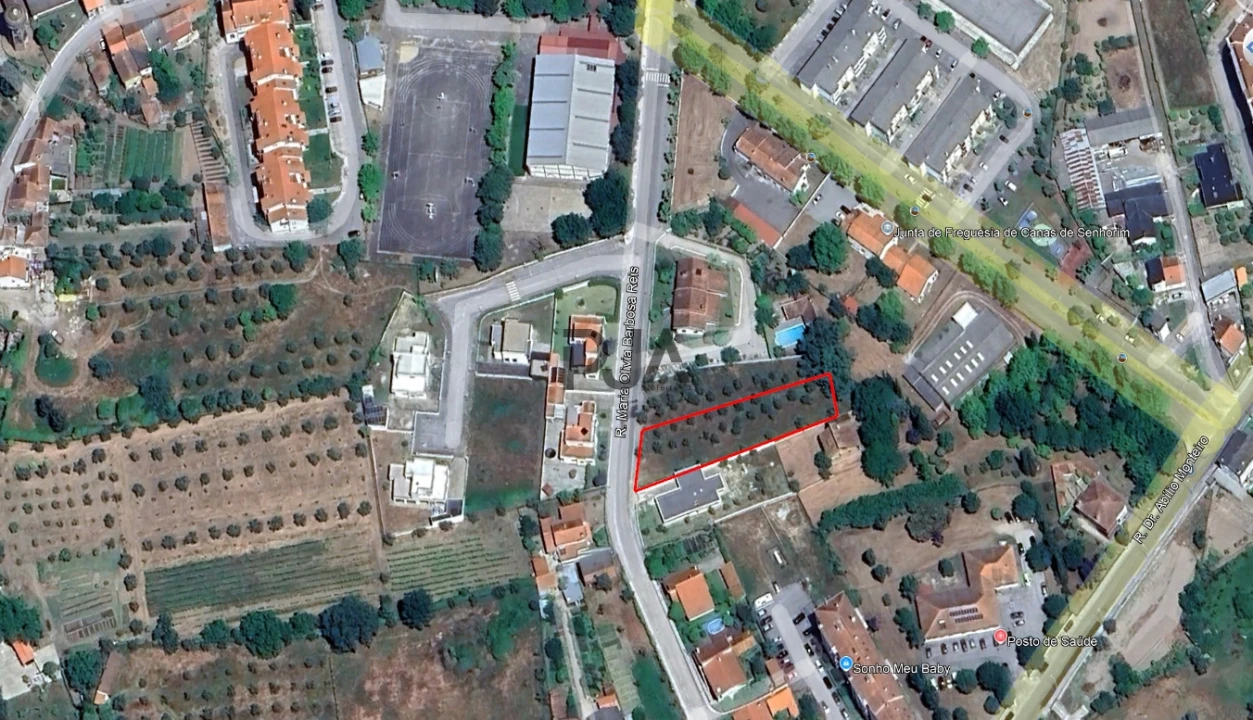 Terreno para Venda em Canas de Senhorim Foto 5