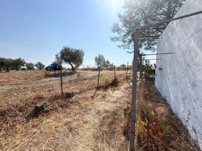 Terreno Agricola ou Rústico para Venda em Ladoeiro Foto 13