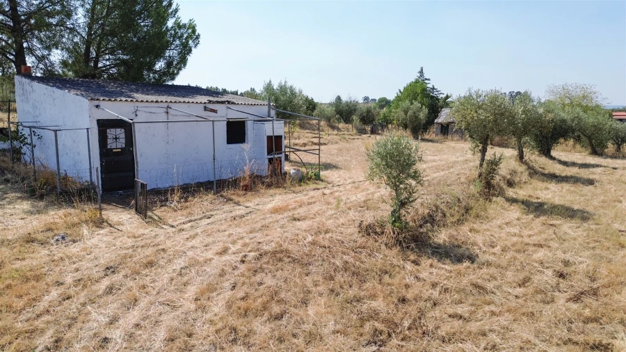 Terreno Agricola ou Rústico para Venda em Ladoeiro Foto 35