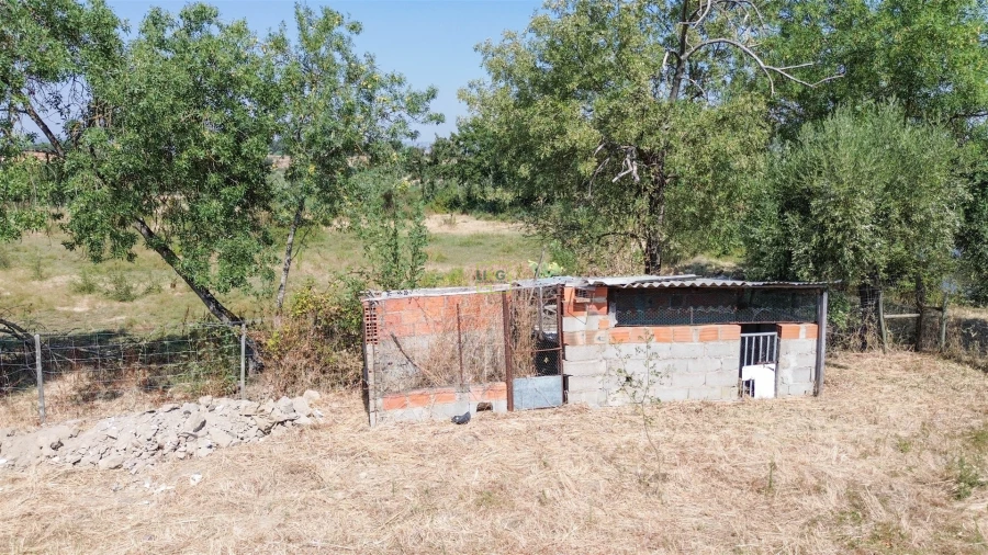 Terreno Agricola ou Rústico para Venda em Ladoeiro Foto 27