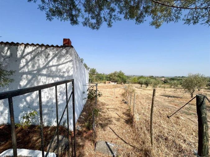 Terreno Agricola ou Rústico para Venda em Ladoeiro Foto 2