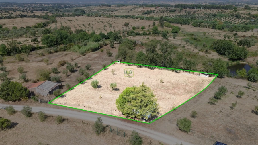 Terreno Agricola ou Rústico para Venda em Ladoeiro Foto 46