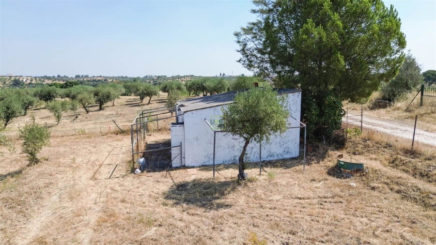 Terreno Agricola ou Rústico para Venda em Ladoeiro Foto 32