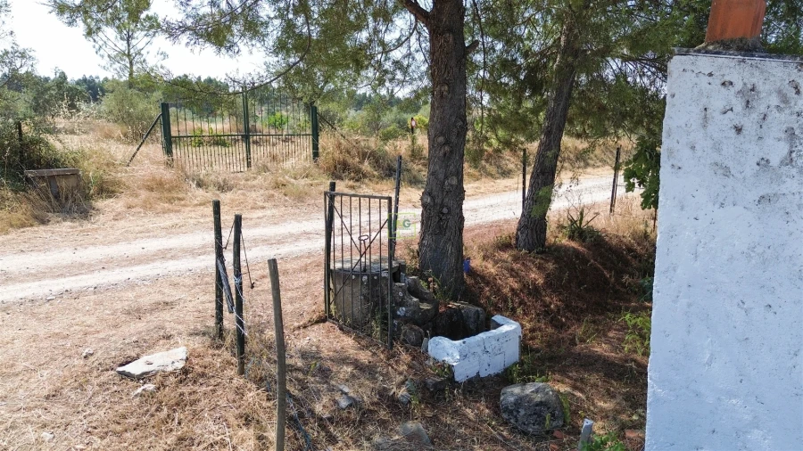 Terreno Agricola ou Rústico para Venda em Ladoeiro Foto 18