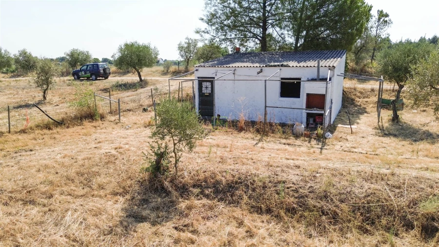 Terreno Agricola ou Rústico para Venda em Ladoeiro Foto 23