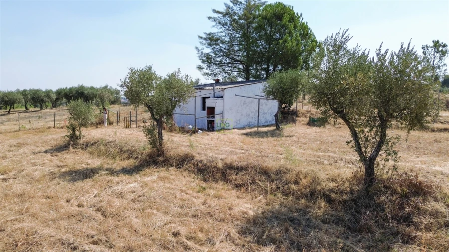 Terreno Agricola ou Rústico para Venda em Ladoeiro Foto 38