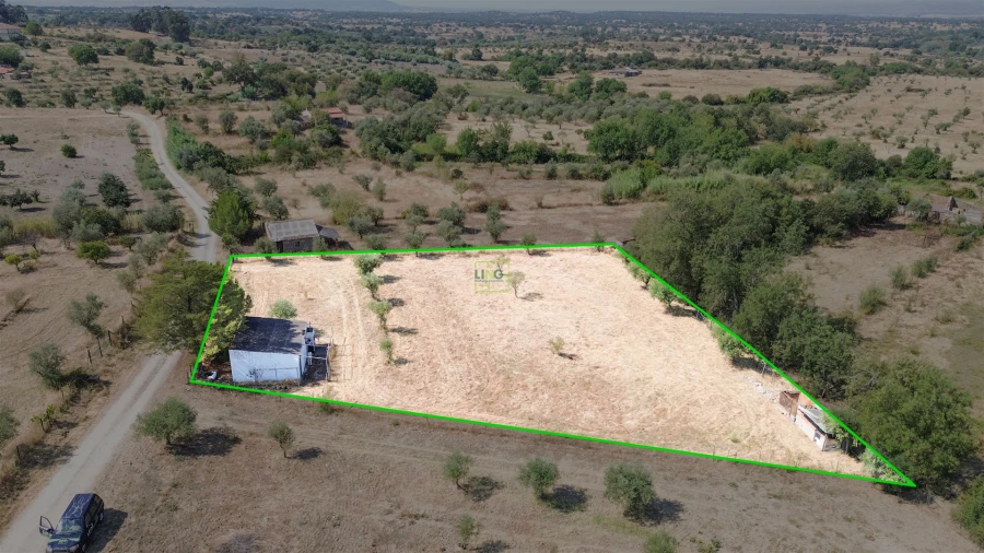 Terreno Agricola ou Rústico para Venda em Ladoeiro Foto 47