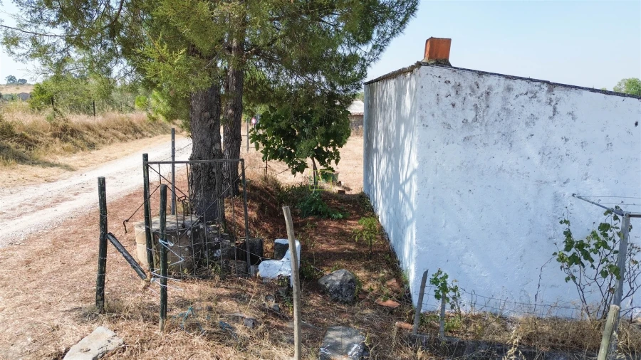 Terreno Agricola ou Rústico para Venda em Ladoeiro Foto 17