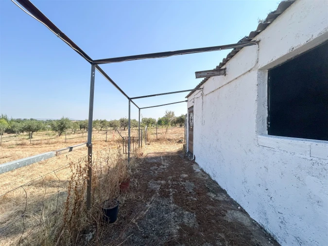 Terreno Agricola ou Rústico para Venda em Ladoeiro Foto 8
