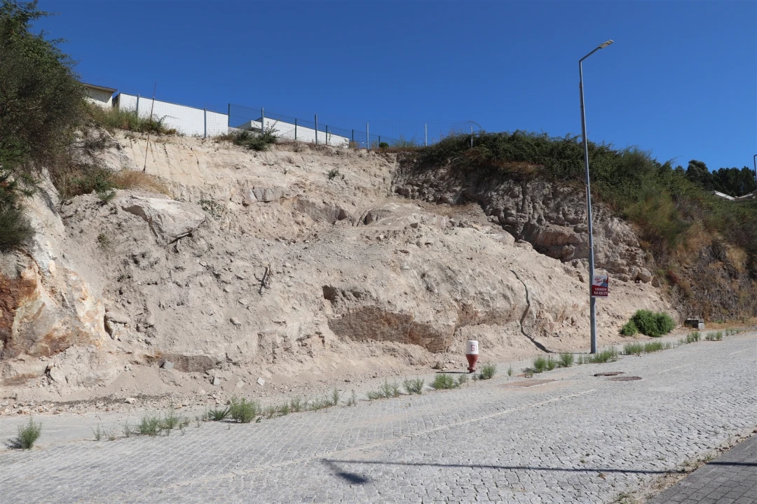 Terreno para Venda em Cristelos, Boim e Ordem Foto 1